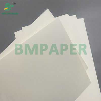 Carton biodégradable et sans danger au micro-ondes pour la fabrication de bols jetables pour la salade