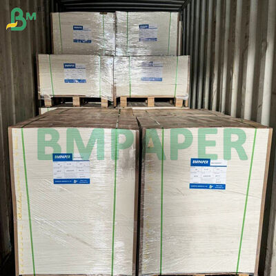 Papier alimentaire micro-ondable pour assiettes, tasses, résistant aux coupures