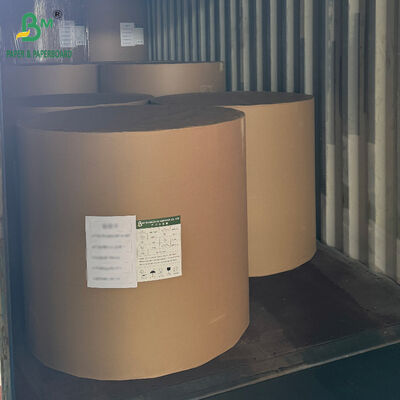 250 gm 300 gm 350 gm 400 gm Carton CCNB pour les emballages alimentaires congelés