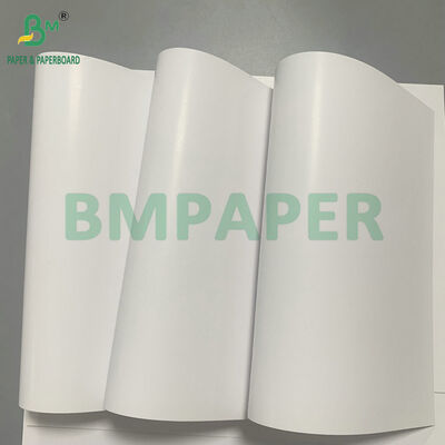 Papier d'étiquettes imperméable à haute résistance de résistance humide du papier 70gsm 80gsm pour des étiquettes de bouteille de bière