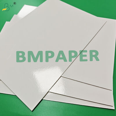 295gsm + 15g PE Freezer Paper Board For Frozen Meal Trays High Burst Strength