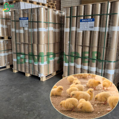 Petit pain 100% réutilisé de papier de volaille de couvage du poussin 43g 63cm x 200m léger