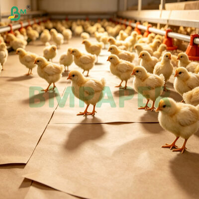 75 g de papier antidérapant pour les couvertures de poulets