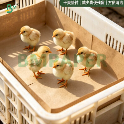 75 grammes de papier de poulet brun 100% recyclé biodégradable rouleau de papier de lit pour volaille pour écloserie