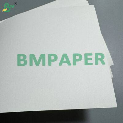Food-Grade 170-320gsm Cup Stock Paper Extruded with PE 15 MIC  for Disposable Coffee Cups