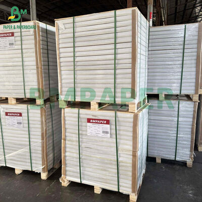 Rouleau de papier blanc 40GSM de qualité alimentaire résistant à la graisse pour l'emballage de hamburgers et de sandwichs