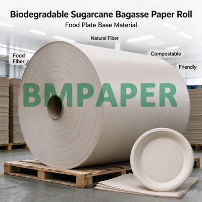 Rouleau de papier bagasse biodégradable de 80g-300g pour la fabrication d'assiettes alimentaires