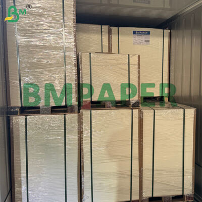 Rouleau de papier bagasse biodégradable de 80g-300g pour la fabrication d'assiettes alimentaires