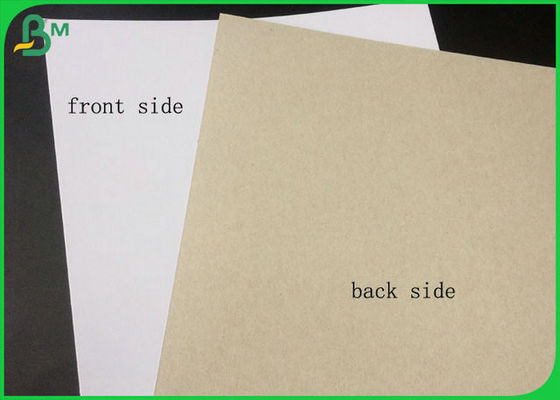 Côté blanc de conseil duplex enduit certifié par FSC avec le dos de gris en emballage de grand petit pain