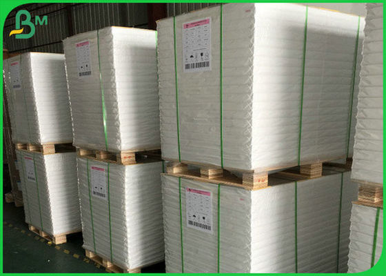 bobine brillante blanche de papier d'art de GV de 300GSM FSC avec le matériel naturel de pulpe de 100%