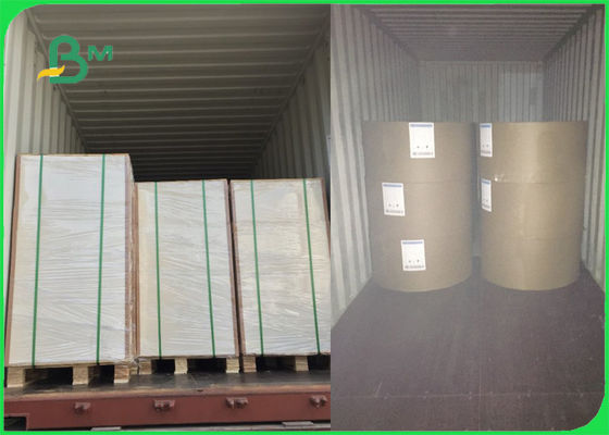 le côté blanc du pli un de conseil en ivoire de 250gsm 270gsm 300gsm C1S a enduit le FSC certifié