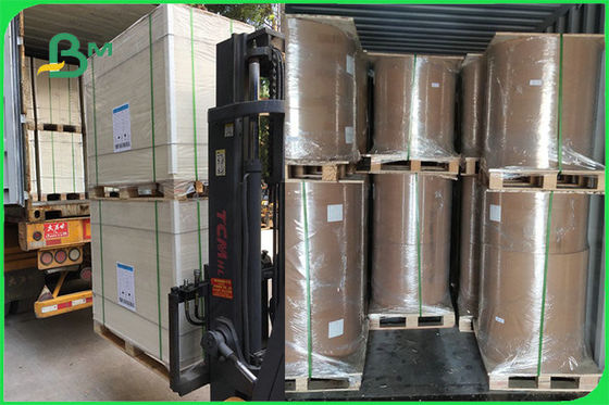 L'ivoire de FSC FDA 300gsm un côté a enduit le papier du PE GC1 de conseil blanc pour la cuvette de papier