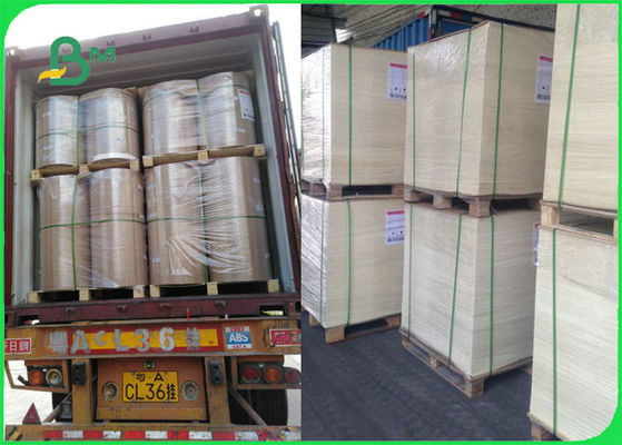 Papier résistant à la chaleur sûr de cuisson de nourriture certifié par FSC de FDA pour le gril faisant cuire le BBQ