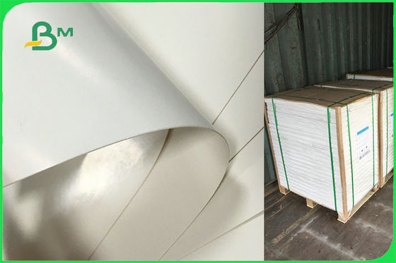 Papier enduit adapté aux besoins du client de PE latéral simple pour les plats jetables FSC approuvés par le FDA