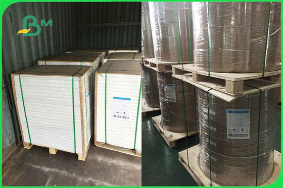 Papier enduit adapté aux besoins du client de PE latéral simple pour les plats jetables FSC approuvés par le FDA