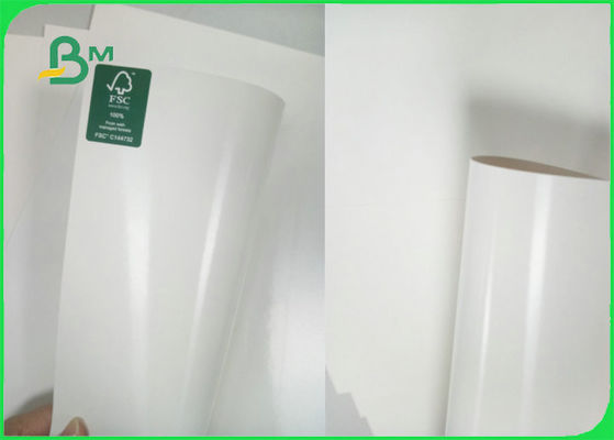 Papier enduit de panneau en ivoire de FSC C1S poly 300gsm + 15g PE 70 x 100cm pour la fabrication de tasse