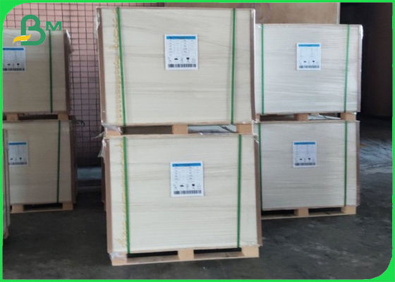 Le polyethylène recouvert de papier de tasse en PE entièrement renouvelable 210g+10g