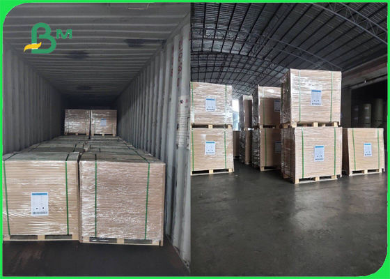 Petit pain de papier de Woodfree de blanc de 70g approuvé par FSC 80g pour la brochure lisse