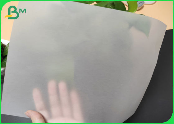 petit pain de papier translucide 620/880mm de l'esquisse 73gsm et de découverte