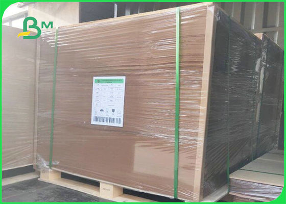 Biodégradable panneau de Papier d'emballage de film du PE 300gsm + 15g pour l'emballage alimentaire