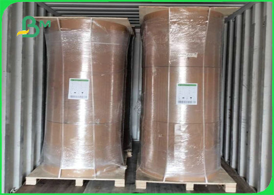 Biodégradable panneau de Papier d'emballage de film du PE 300gsm + 15g pour l'emballage alimentaire