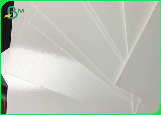 Le PE sulfurisé a enduit le petit pain de papier stratifié de Cupstock pour les tasses chaudes de boissons