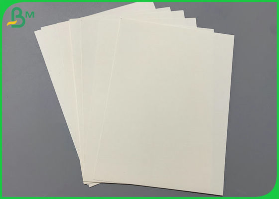 papier non-enduit de tasse de rigidité de la largeur 300gsm de 700mm pour faire la tasse de papier