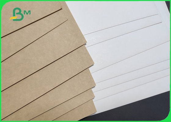 résistance de larme de petit pain de 270gsm Clay Coated Kraft Back (CCK) 900mm