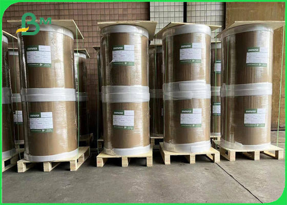 Le carton blanc en vrac superbe de conteneur de nourriture a enduit un 215gsm latéral