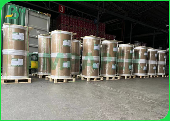 anti- carton de livre blanc du congélateur 240gsm un panneau enduit de nourriture de côté