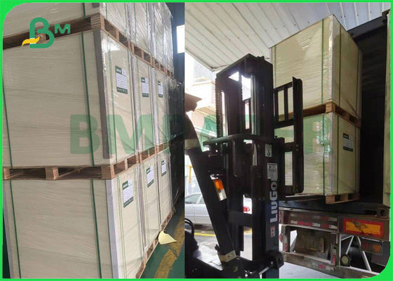 panneau de nourriture de 295gsm 325gsm C1S FBB pour rigidité 25" de boîte à biscuit la bonne x 37"