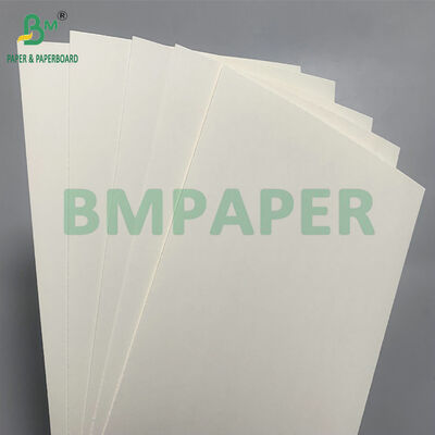 Carton biodégradable et sans danger au micro-ondes pour la fabrication de bols jetables pour la salade