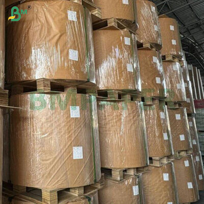 40gsm Non - Stick Baking Greaseproof Silicone Paper For Cooking 
