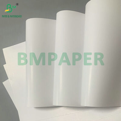 Papier d'étiquettes imperméable à haute résistance de résistance humide du papier 70gsm 80gsm pour des étiquettes de bouteille de bière