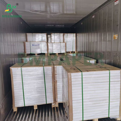 240gm +15PE Polycoated Cupstock Paper Pour les tasses à boire froides 70 x 100cm