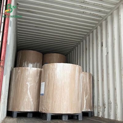 Good Wet Strength 50GSM 52GSM Food Contact Compliant Coffee Filter Paper